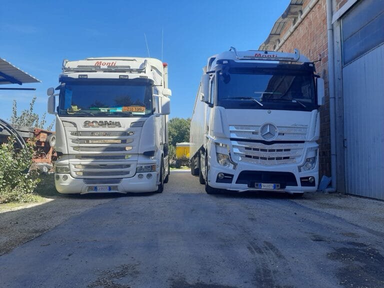 Mezzi per autotrasporti D.M. Monti (12)