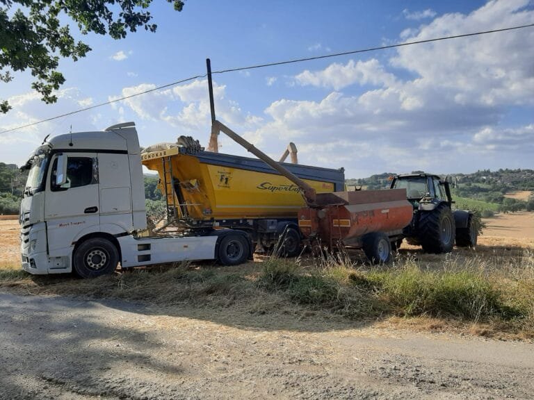 Mezzi per autotrasporti D.M. Monti (19)