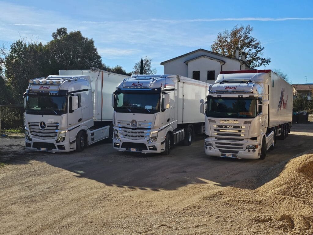 Mezzi per autotrasporti D.M. Monti (8)